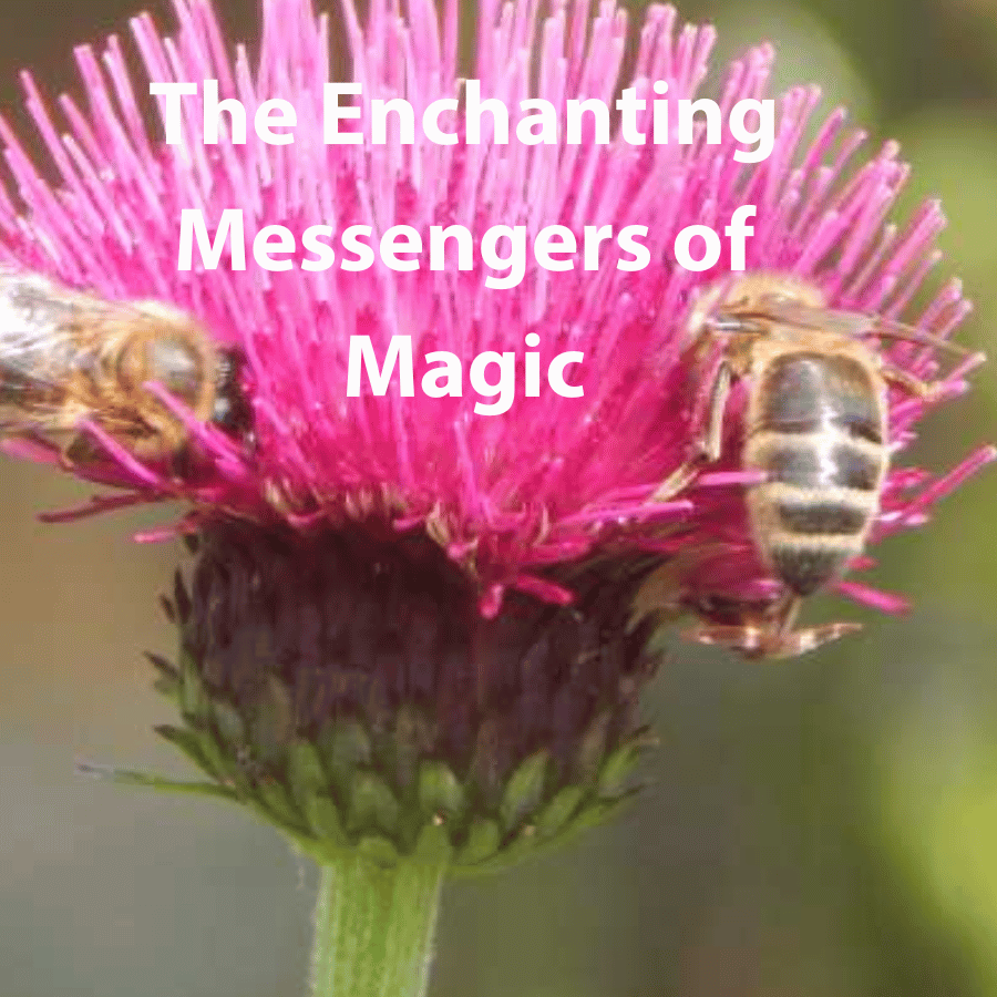 The Enchanting Messengers of Magic