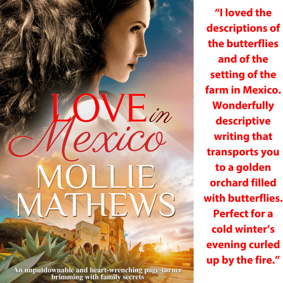 love in mexico loved the butterfly theme Love in Mexico a second chance romance by Mollie Mathews